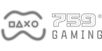 P61 Slot Partner 3 logo